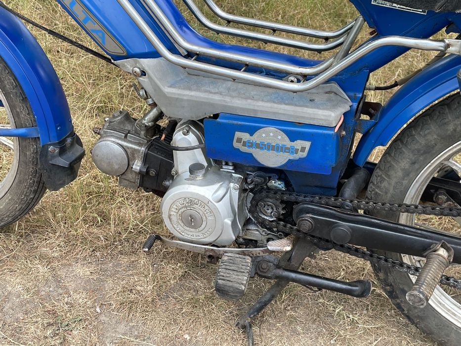 Дельта. В чудовому вигляді