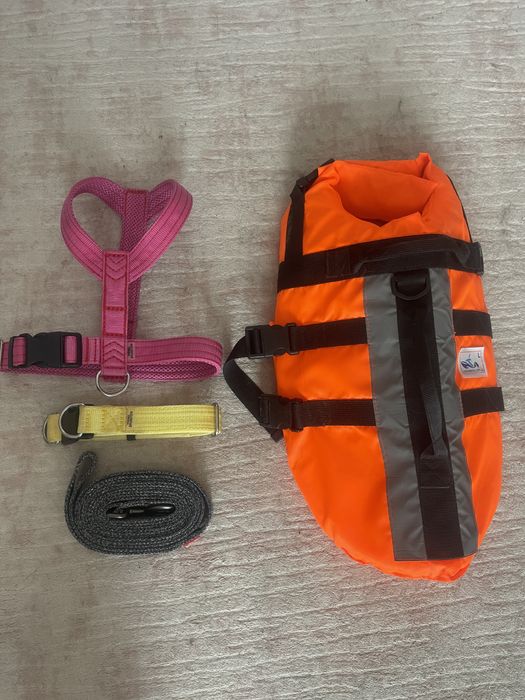 Амуніція для собак