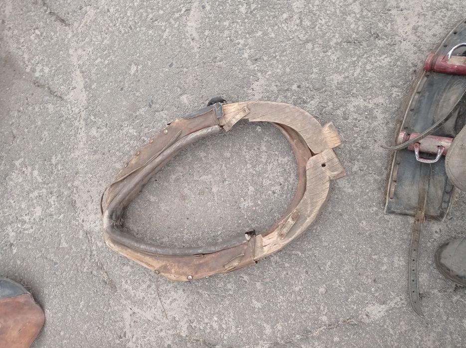 Продам хомути на коня з усім гамузом знаходиться в Полтавській області