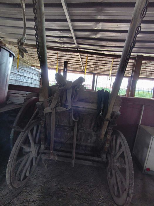 Carroça de Duas Rodas em Madeira – Tamanho Largo