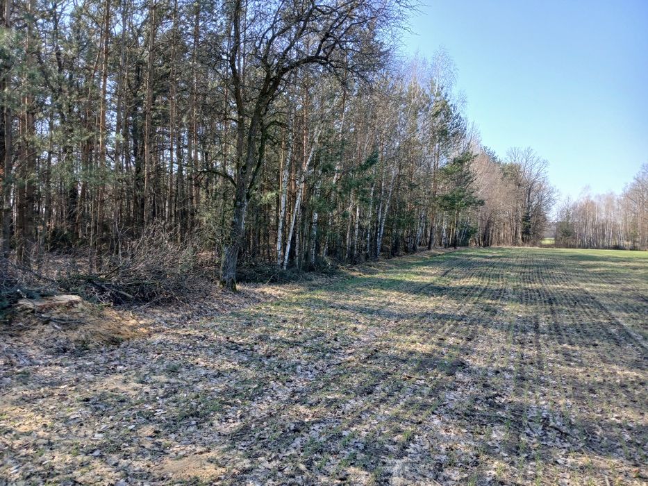 Dzialka rolna z ziemio i lasem