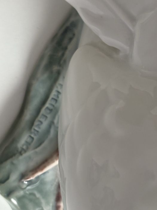 Gołębica Rosenthal