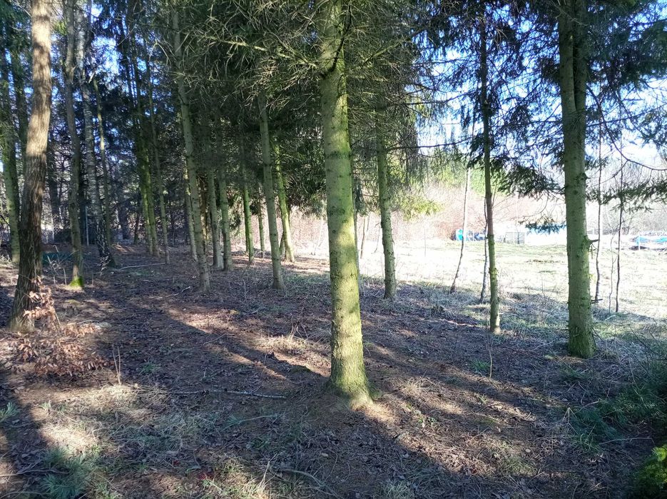 Sprzedam działkę budowlaną w Pomlewie - MPZP