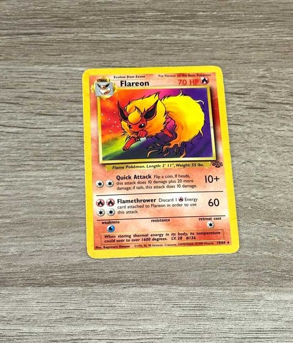 Jungle Cartas Originais Pokémon TCG WOTC