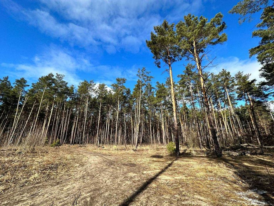 Відмінна квартира в зеленому районі, за 15600 $