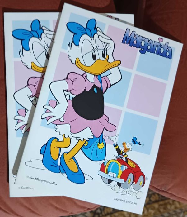 Lote 8 cadernos (1€ cada) Coleção completa Disney marca Ambar anos  80