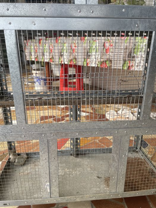 Gaiolas de pássaros