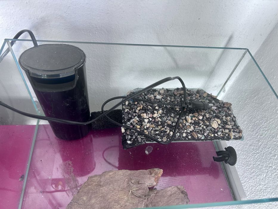 Aquario tartarugas Com filtro