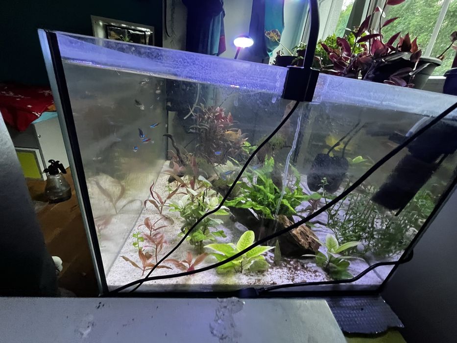 Akwarium 120 l + ryby