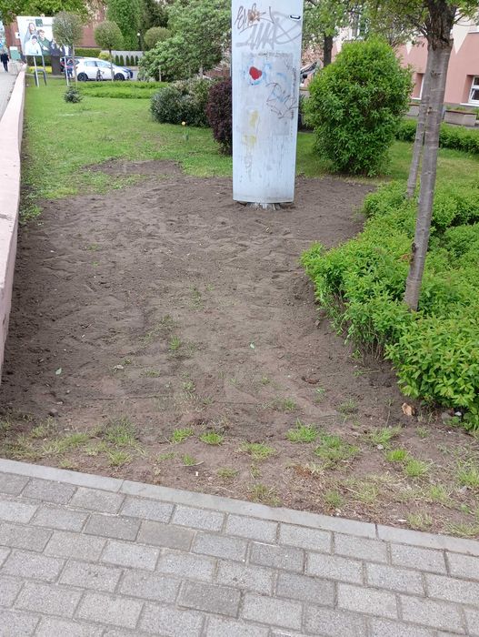 Usługi minikoparka wywrotka 3.5 tony