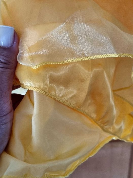 Vestido Bela e o Monstro