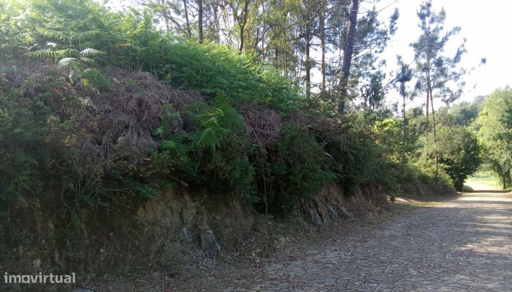 Terreno para venda, Orbacém, Caminha