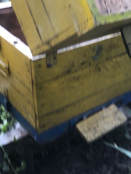 Продам улики для пчёл