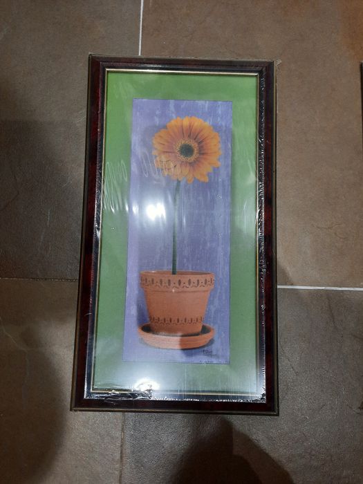 Quadros sobre plantas