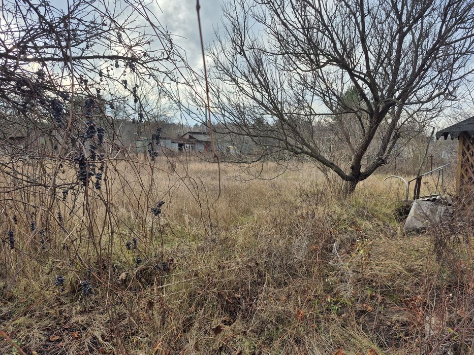 Продається дача в кооперативів Вільшанка