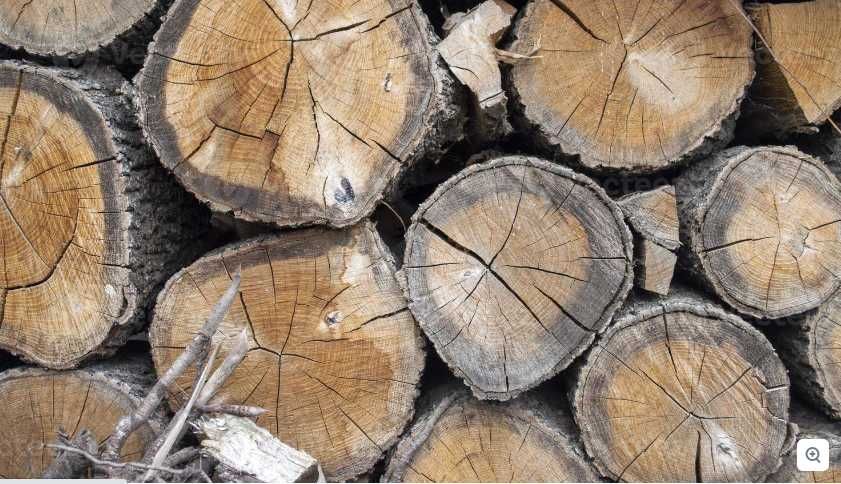 Tenho para venda 10 toneladas de madeira de carvalho em estado impecáv