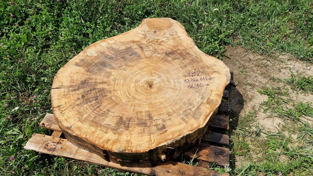 Topola plastry krążki live edge żywica PIĘKNE USŁOJENIE