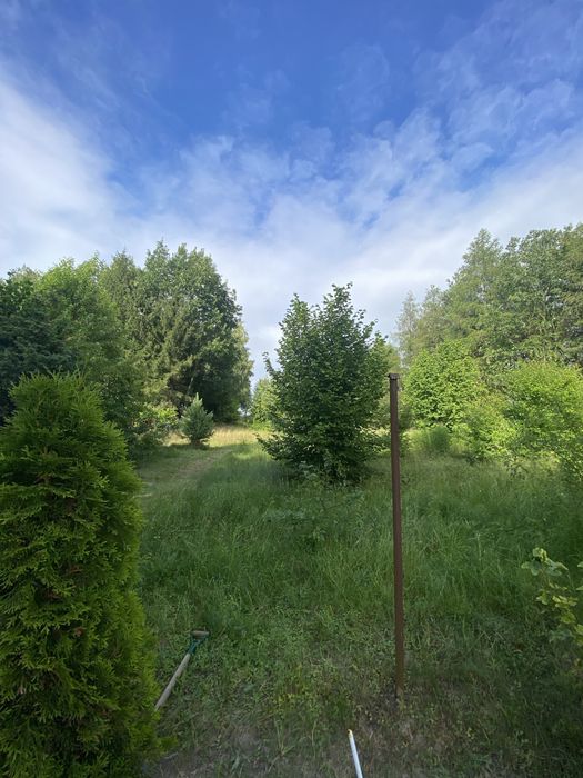 Duża działka 1373 m² blisko jeziora – Piotrowo, gm. Chodecz - Widok 5