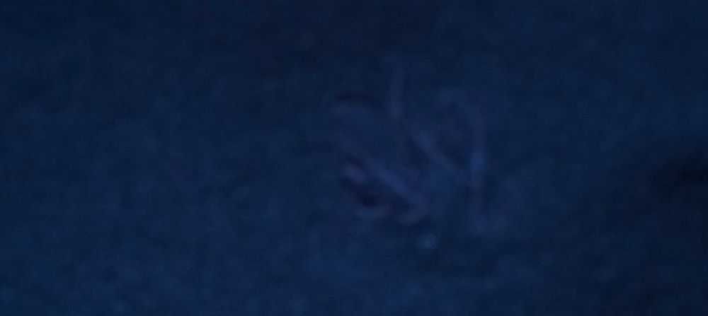 Ted Baker świetny skład L bawełna nylon