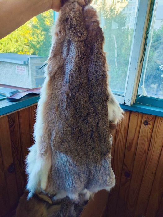 Шкурки кролячі і зайців