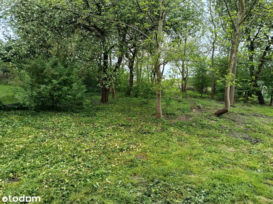 Działka z dojazdem asfaltowym