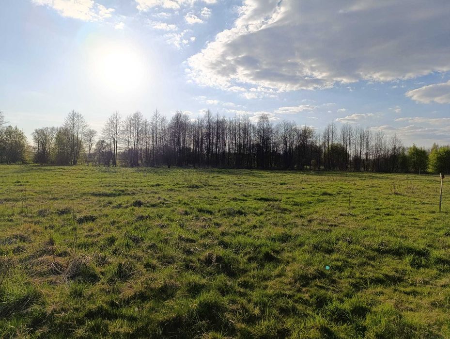 Działka budowlana- Skawina -Jaśkowice 1100 m² - Widok 2