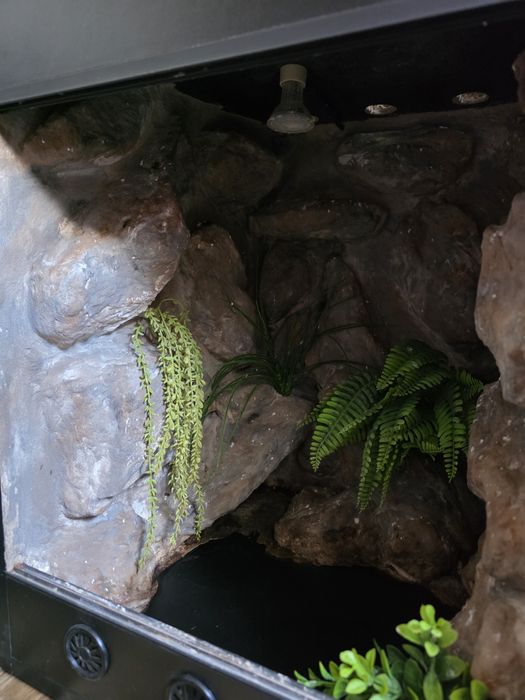 Terrarium 60x40x40