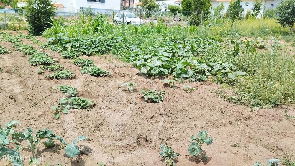 Terreno Urbano - Zona Sossegada !