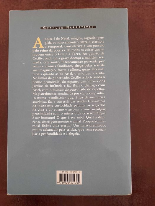 O Enigma e o Espelho, Jostein Gaarder