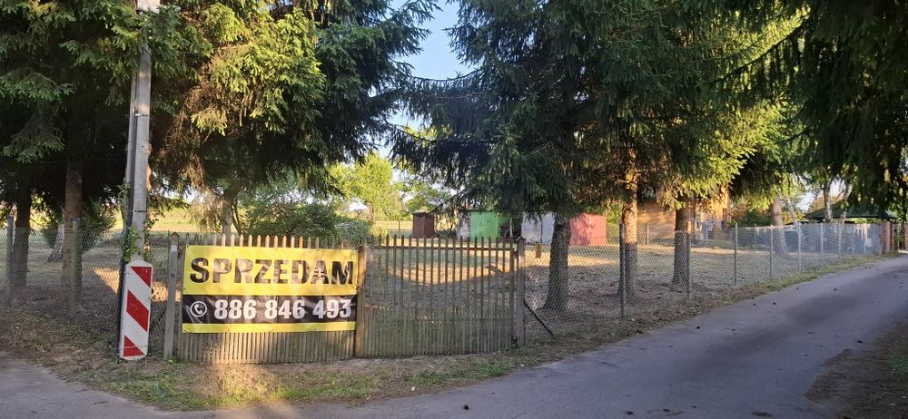 Zdjęcie 7