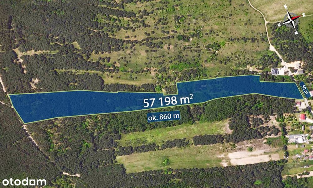 Działka 5,7 ha na Jurze | Część budowlana 3700m² +las| Wszystkie media