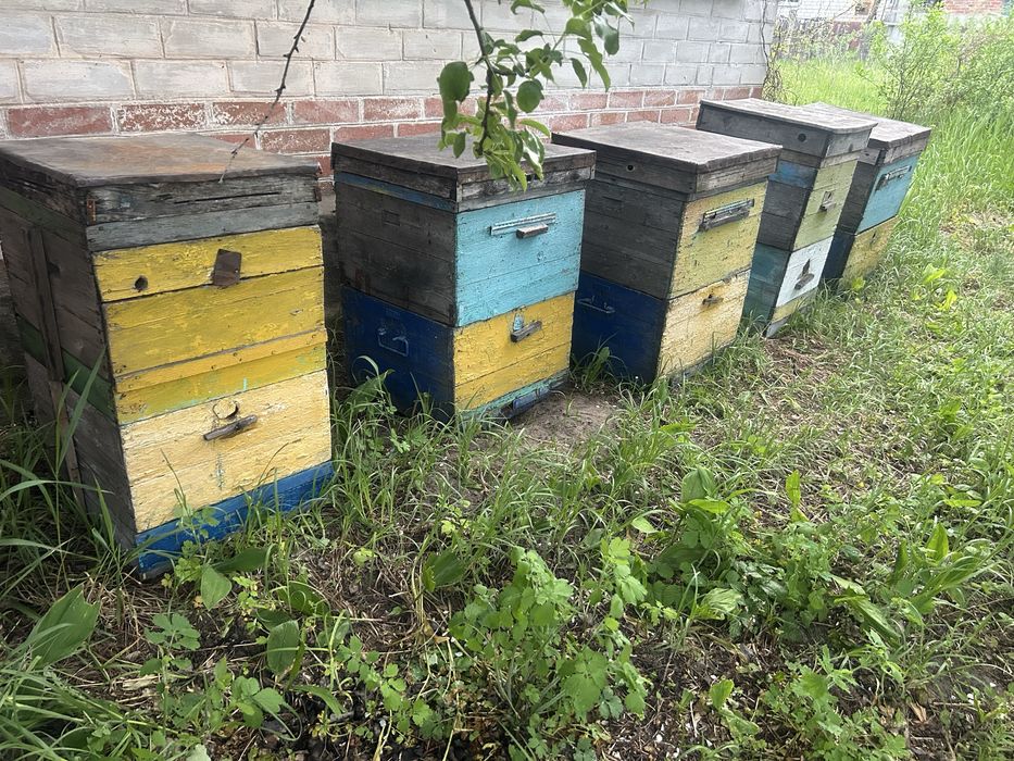 Продам корпусні вулики