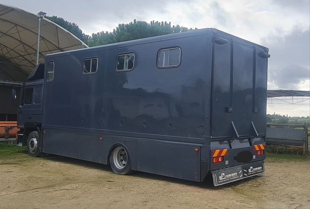 Camião Transporte de Cavalos