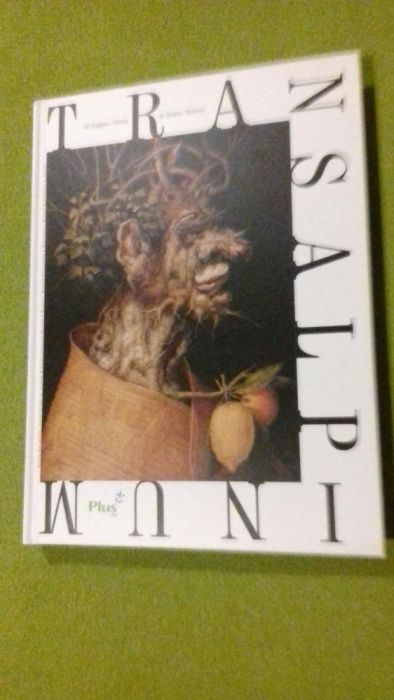 Transalpinum Po obu stronach Alp Malarstwo w Europie