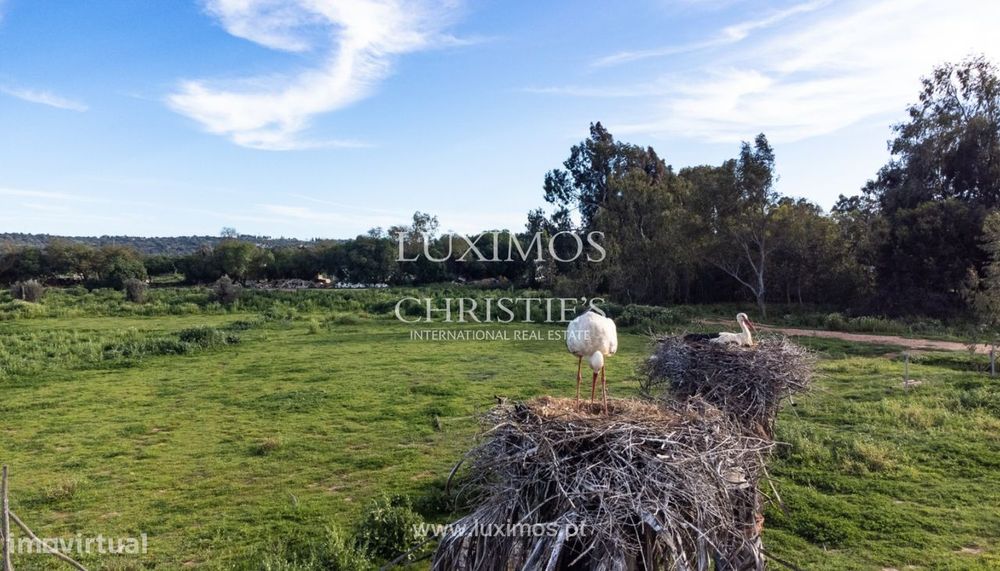 Quinta no Monte da Tapada, para venda, em Odiáxere, Algarve