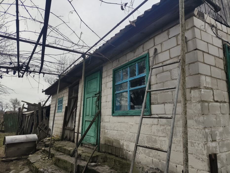 Хата, літня кухня, сараї, город