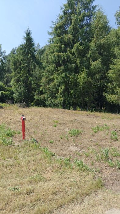 Sprzedam Gospodarstwo