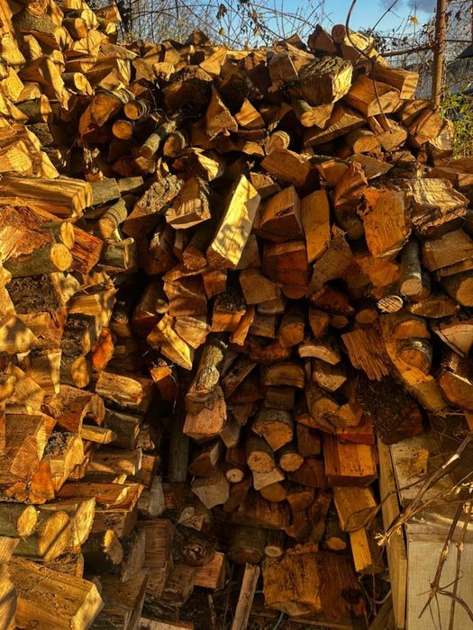 Продаємо дрова твердих порід