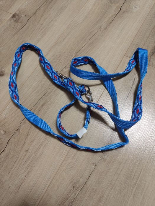 Niebieska smyczy taśma 8B