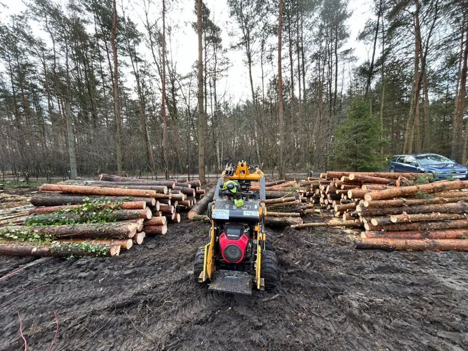 Wycinka i pielęgnacja drzew, frezowanie pni, usługi rębakiem