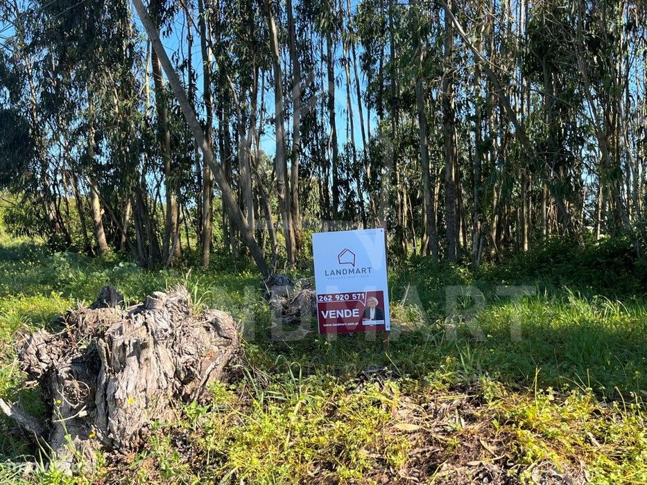 Terreno, São Clemente — Alvorninha, Leiria