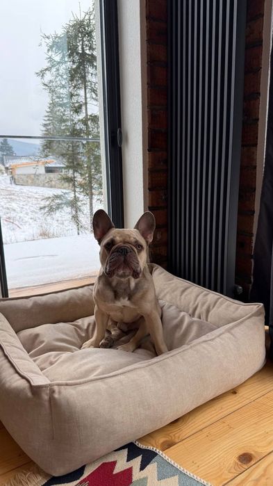 Лежанки для собак і котів