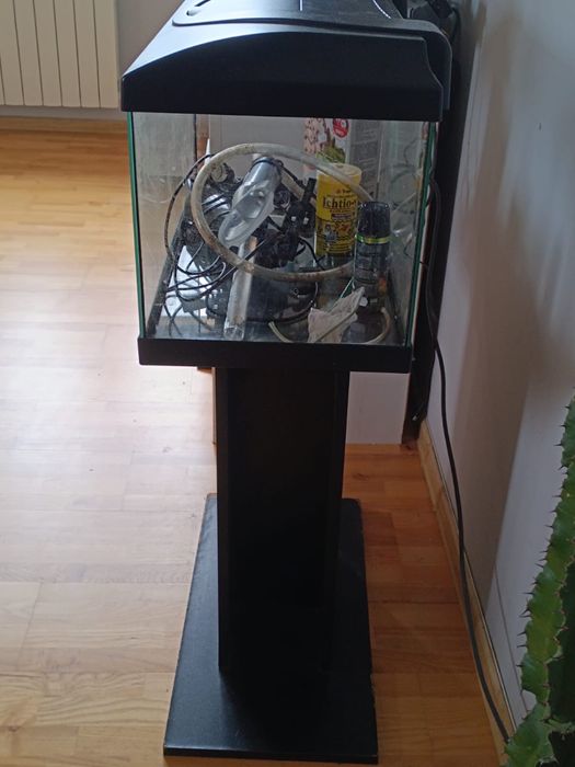 Akwarium 60L z podstawką i przyborami