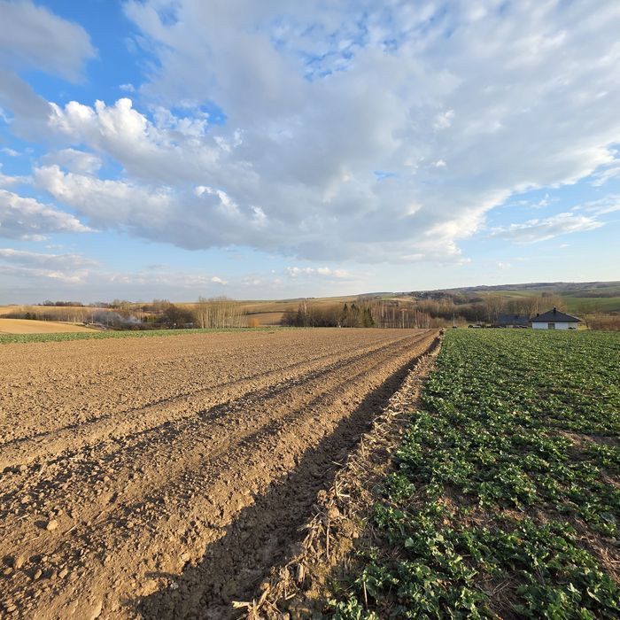 Uzbrojona działka rolno-budowlana 1,02 ha /Media w działce /Więckowice - Widok 6