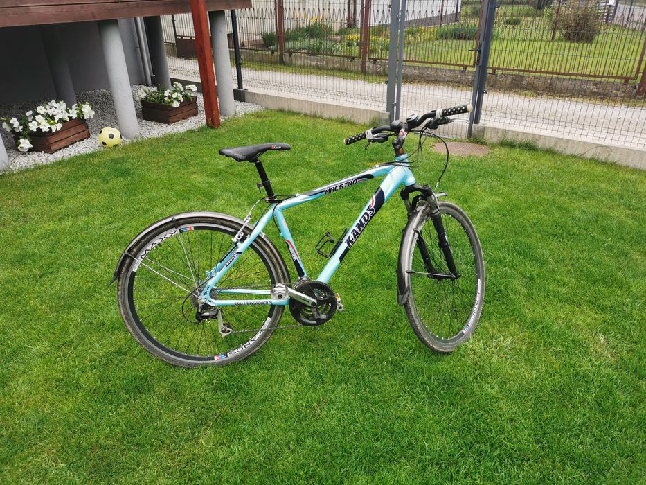 Rower Kands maestro 19" cross Opoczno • OLX.pl