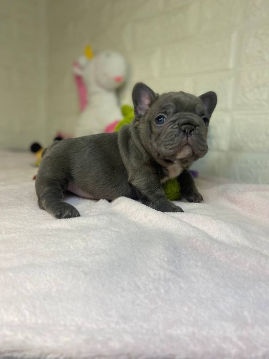 Найгарніший хлопчик