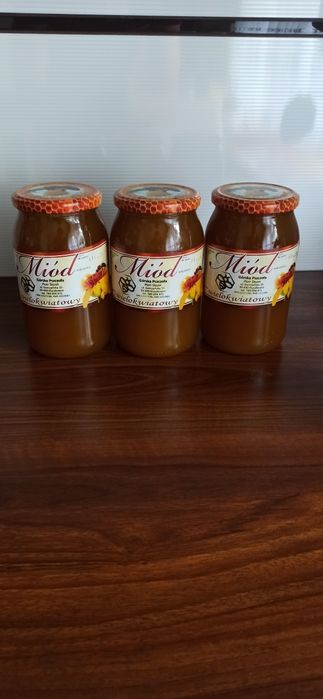 Miód Wielokwiatowy 2025