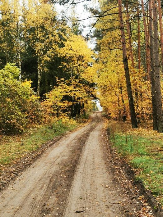Sprzedam działki z warunkami zabudowy