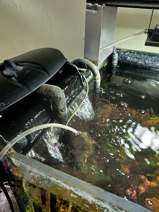 Аквариум великий на тумбі, і в тумбі ще 2 акваріума.