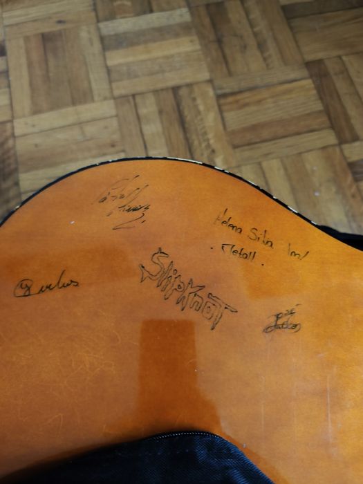 Guitarra clássica parrot